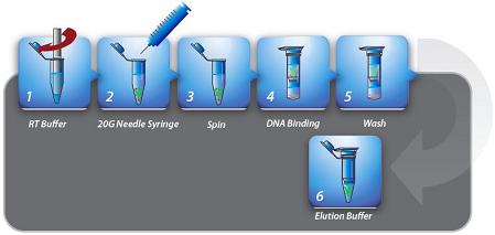 Procedure of Total RNA Extraction Kit Tissue